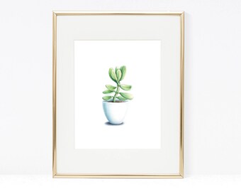 Watercolor Succulent on White