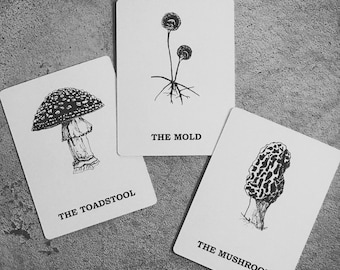 May include: Three black and white illustrations on white cards. The cards are titled "The Mold", "The Toadstool", and "The Mushroom". The illustrations depict a mold, a mushroom, and a morel mushroom.