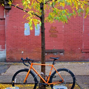 Bike and Graffiti