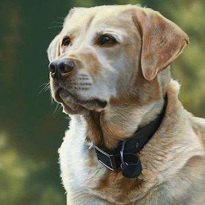 Lab yellow dog fabric panel, Labrador Retreiver blonde dogs, cotton quilt, quilting fabric, 36 x 44, dog lover, duck hunting