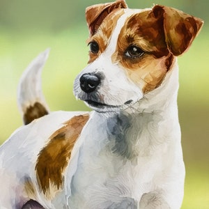 May include: A white and brown Jack Russell Terrier dog with brown ears and a white tail stands on a green background. The dog is looking to the left of the image.