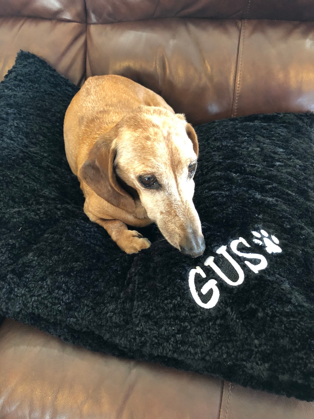 Personalized Dog Bed Pillow Cover, Pet Pillow Cover, Plush Soft Pillow