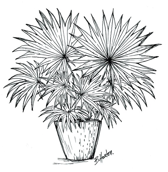 Fan Palm Sketch Print Indoor Plant Wall Art Tropical Print Etsy Over 62,015 plant pot pictures to choose from, with no signup needed. etsy