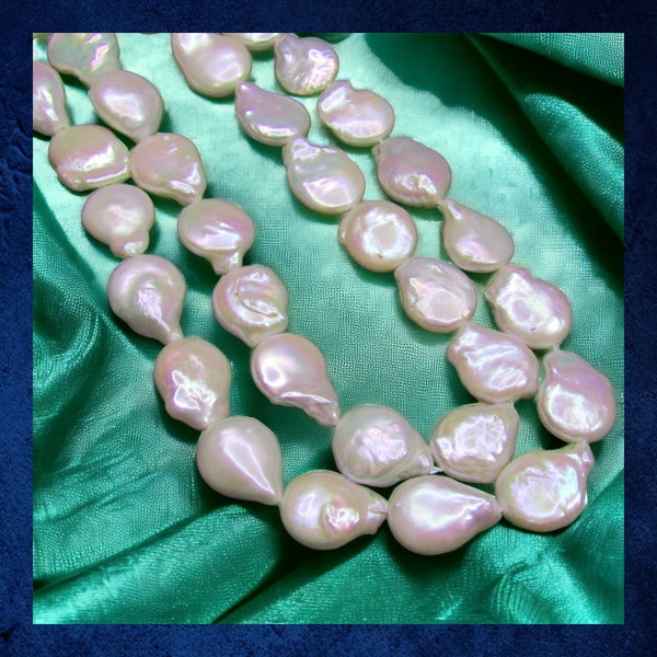 Pearl, White - 15" strand of large 14x20mm teardrop shape freshwater pearl beads.