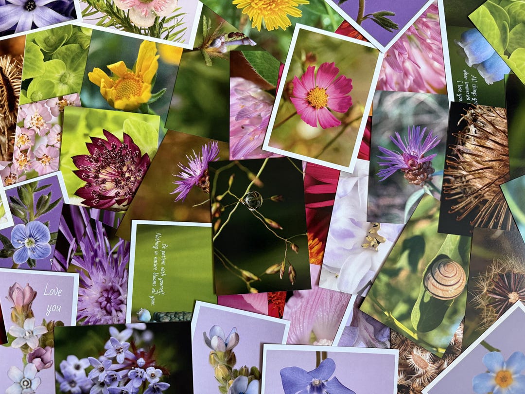 Floral Postcard Set – 50 Botanical Cards • Flower Photography • Nature ...