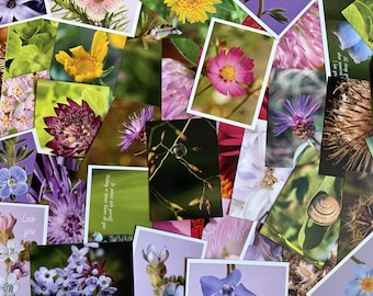 Floral Postcard Set – 50 Botanical Cards • Flower Photography • Nature Postcards Bundle • Xmas Gift