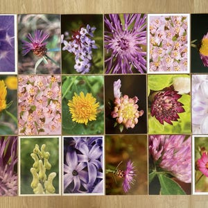 Set di 18 cartoline fotografiche con fiori macro / Stampe artistiche floreali ispirate alla natura / Articoli di cancelleria botanica per regali, decorazioni e collezionisti