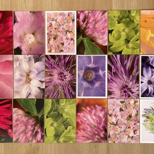 Set di 18 cartoline macro / cartoline botaniche / postcrossing / fiori unici Cancelleria per regali e decorazioni per la casa