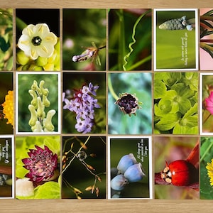 Set di 18 cartoline verdi Cartoline botaniche Cartoline Postcrossing con fiori