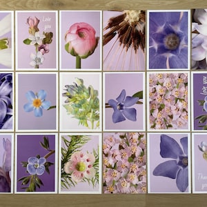 Lot de 18 cartes postales violettes Cartes postales botaniques Cartes postales Postcrossing avec des fleurs