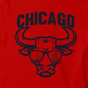 Cool Vintage Bull of Chicago T-Shirt, Distressed Chicago Skyline Basketball Short Sleeve Shirt