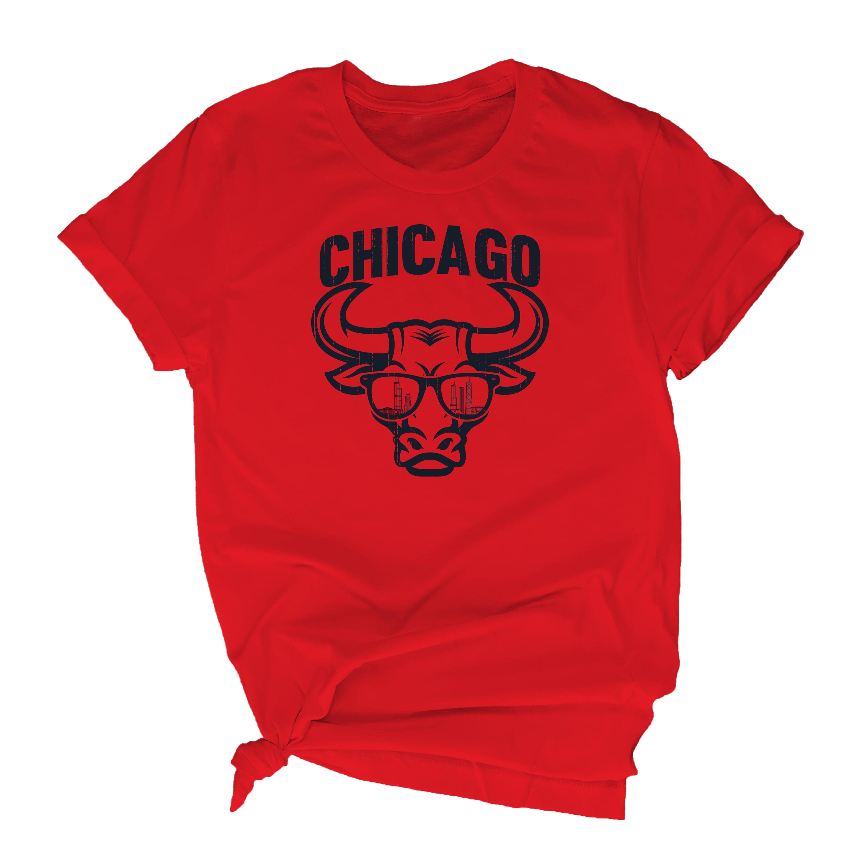 Cool Vintage Bull of Chicago T-shirt, Distressed Chicago