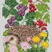 hedgehog and wild plants
