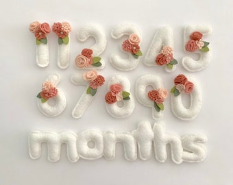 baby month tracker