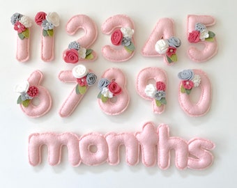 baby month tracker