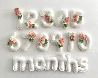 Felt Baby Milestone Numbers • Blush Baby Bump Countdown Numbers • Pregnancy Week Countdown Numbers • Baby Month Tracker • Baby Week Counter