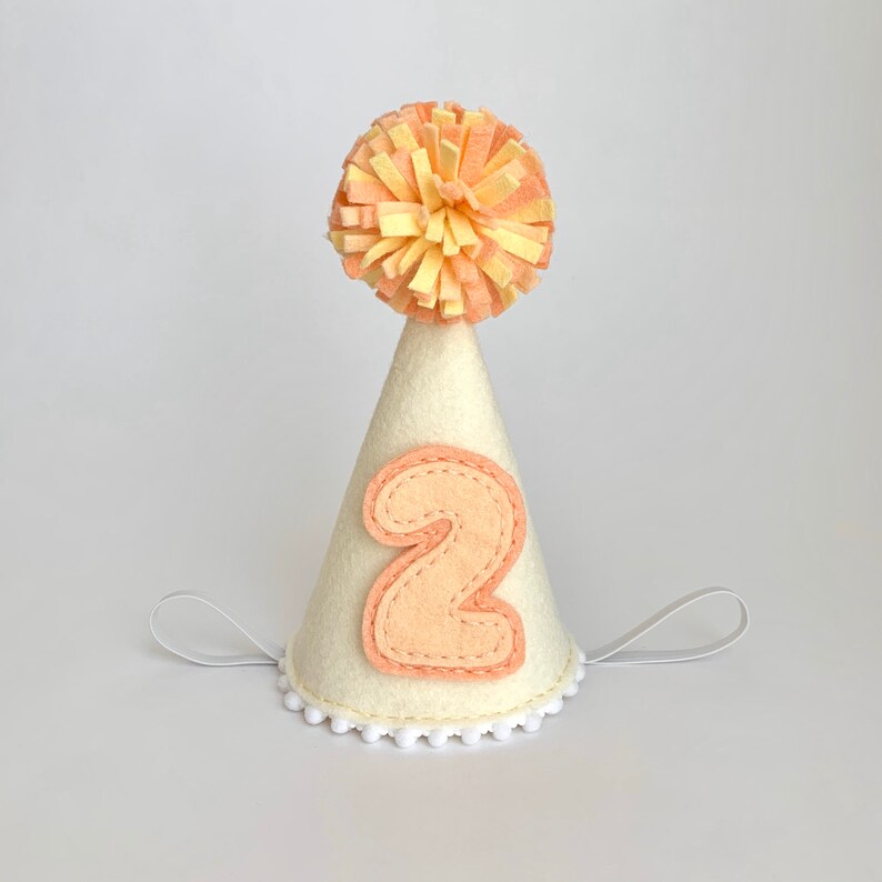 1 2 birthday party hat