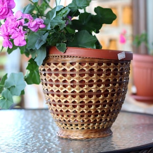 Puede incluir: Una maceta de mimbre con borde marrón, llena de follaje verde y flores rosas vibrantes. La cesta está sobre una mesa de cristal, con otra maceta de terracota en el fondo. Un objeto decorativo encantador.