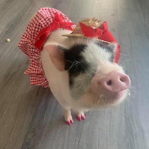 Country girl! Gingham skirt & optional straw hat