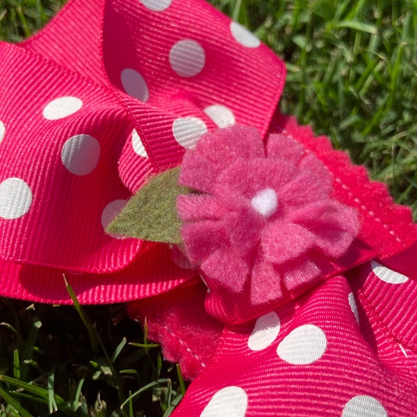 Pot Belly Pig Clothes Etsy