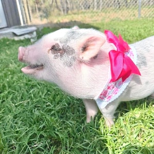 Puede incluir: Un juego de tres tazas de cerámica con acabado mate moteado. Las tazas son de color crema, gris claro y gris oscuro. Cada taza tiene un diseño simple y minimalista.