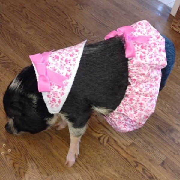 Mini Pig Clothes Etsy