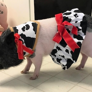Puede incluir: Un cerdo blanco y negro con un vestido de vaca blanco y negro con un lazo rojo y un pañuelo de vaca blanco y negro con un lazo rojo.