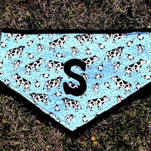 Lindo pañuelo de vaca con elástico suave, personalizado, ropa de mini cerdo
