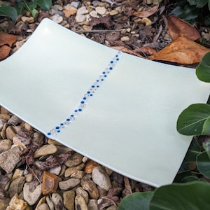 May include: A light green rectangular serving dish with a decorative line of blue and white circles.