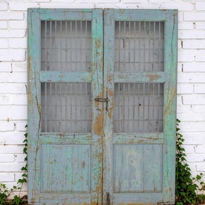 Pair of XL Antique Vintage Indian Doors Shutters