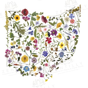 State of Ohio Pressed Floral 8&quot;x10&quot; Art Print by Zentilly®