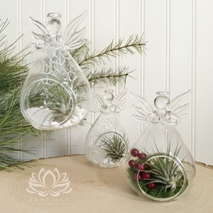 Tillandsia Holiday and Snow Angels by Zentilly©