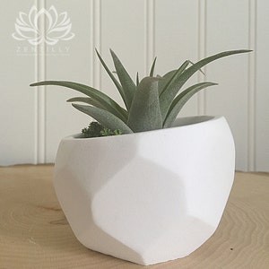 Geometric Tillandsia Slant Planter by Zentilly© immagine 2