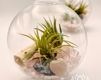 Tillandsia 3-footed Glass Orb with Rose Quartz Heart by Zentilly©