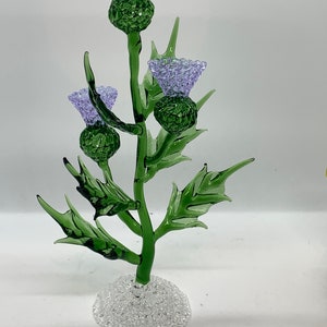 large 3 headed thistle