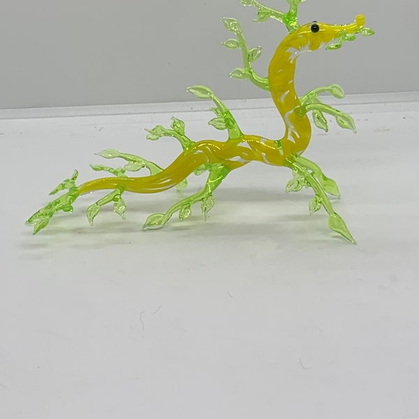 Leafy Sea Dragon