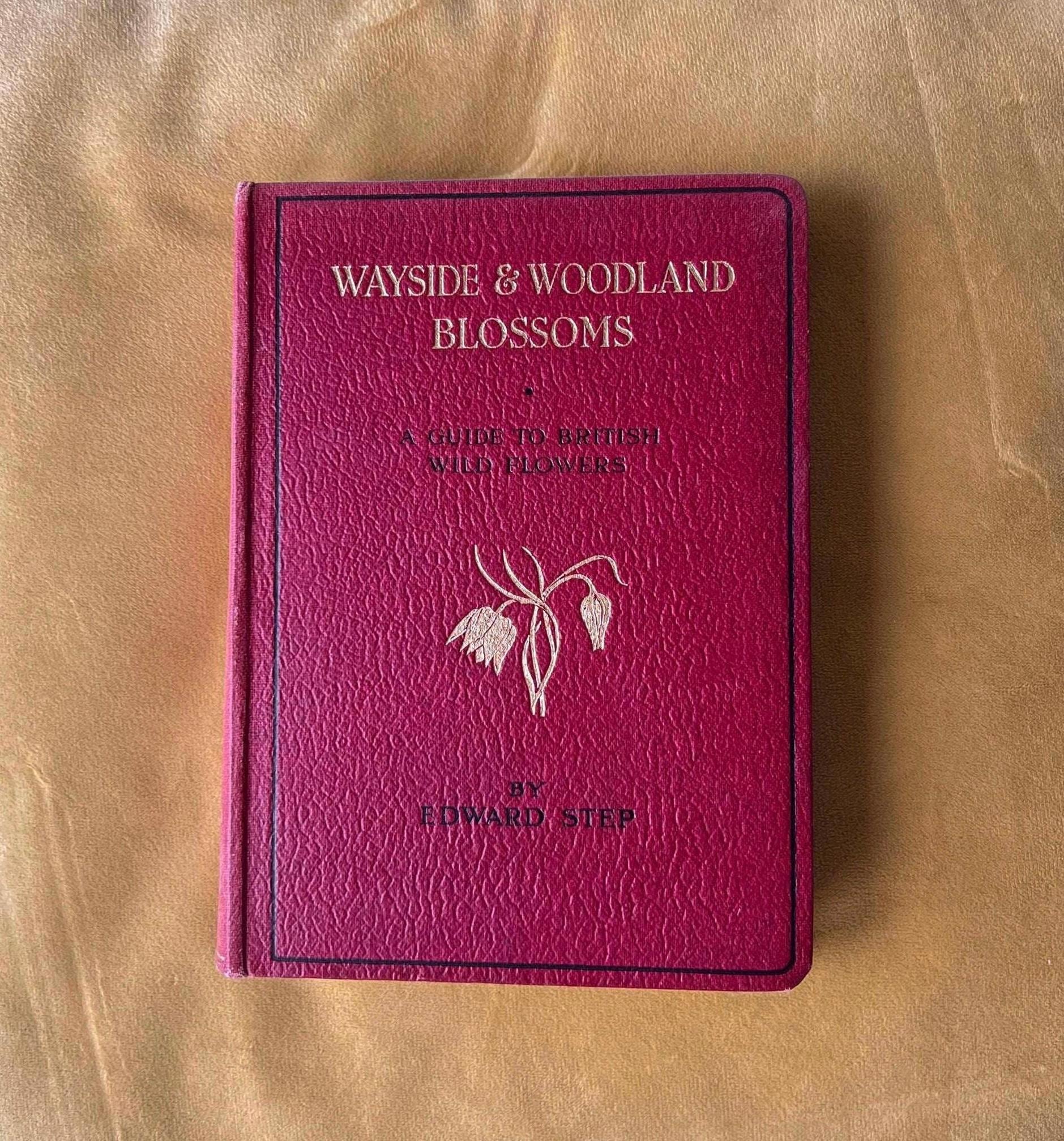 Vintage 1940s Wayside & Woodland Blossoms Flower Book - Etsy