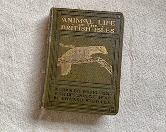 Vintage Antique Animal Life of the British Isles Book Decorative Illustrated