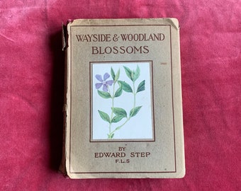 Vintage 1940s Wayside & Woodland Blossoms Flower Book