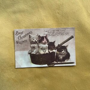 Carte postale vintage édouardienne Meilleurs voeux de Noël chats chatons