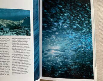 Vintage 1991 National Geographic Magazine - Etsy