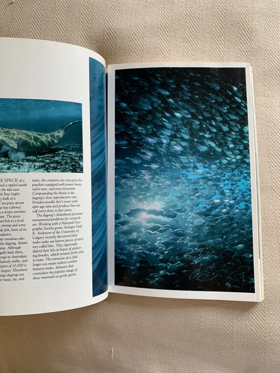 Vintage 1991 National Geographic Magazine - Etsy