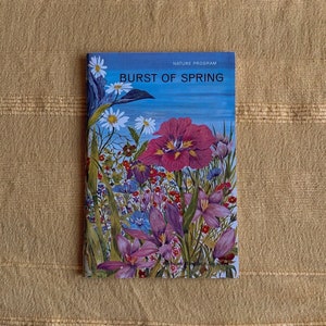 May include: A vintage book cover with a blue background and the title "BURST OF SPRING" in white text. The cover features a colourful illustration of a variety of flowers, including purple irises, pink crocuses, and white daisies.