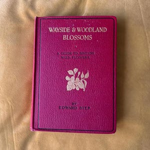 Op de afbeelding: Een magenta boek getiteld "Wayside & Woodland Blossoms" met gouden letters en een bloemenillustratie. Het is een gids voor Britse wilde bloemen door Edward Step.