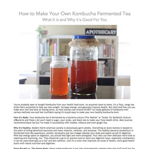 DIY Kombucha Creation eBook - Lernen Sie, wie Sie Ihren eigenen Kombucha herstellen + Warum es gut für Sie ist