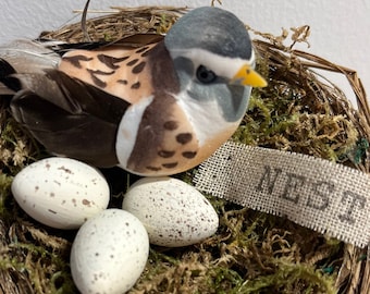 NEST; BIRD NEST with Eggs; Chirp Chirp; Spring Decor