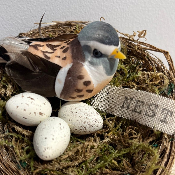 NEST; BIRD NEST with Eggs; Chirp Chirp; Spring Decor