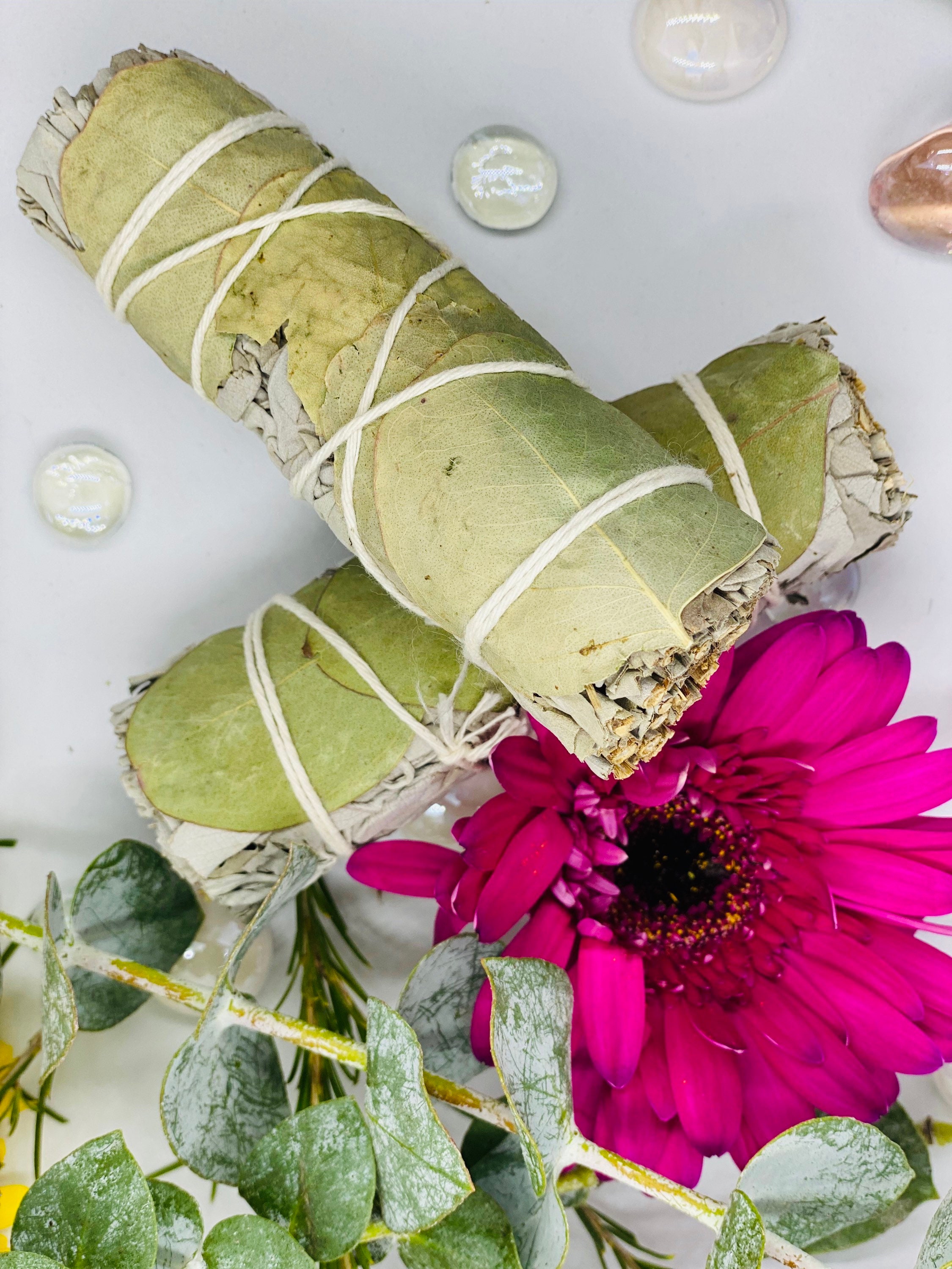 Eucalyptus and White Sage 4 Inch 2 Bundle Etsy