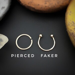 May include: Two silver nose rings, one a hoop and the other a curved bar with ball ends. The hoop is labeled "Pierced" and the bar is labeled "Faker".