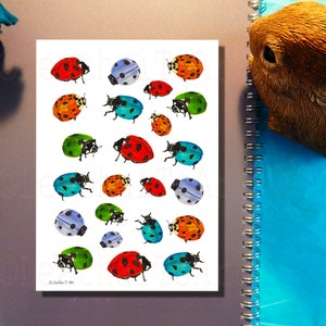 Watercolor Ladybug Sticker Sheet: Hand-Painted Planner Stickers
